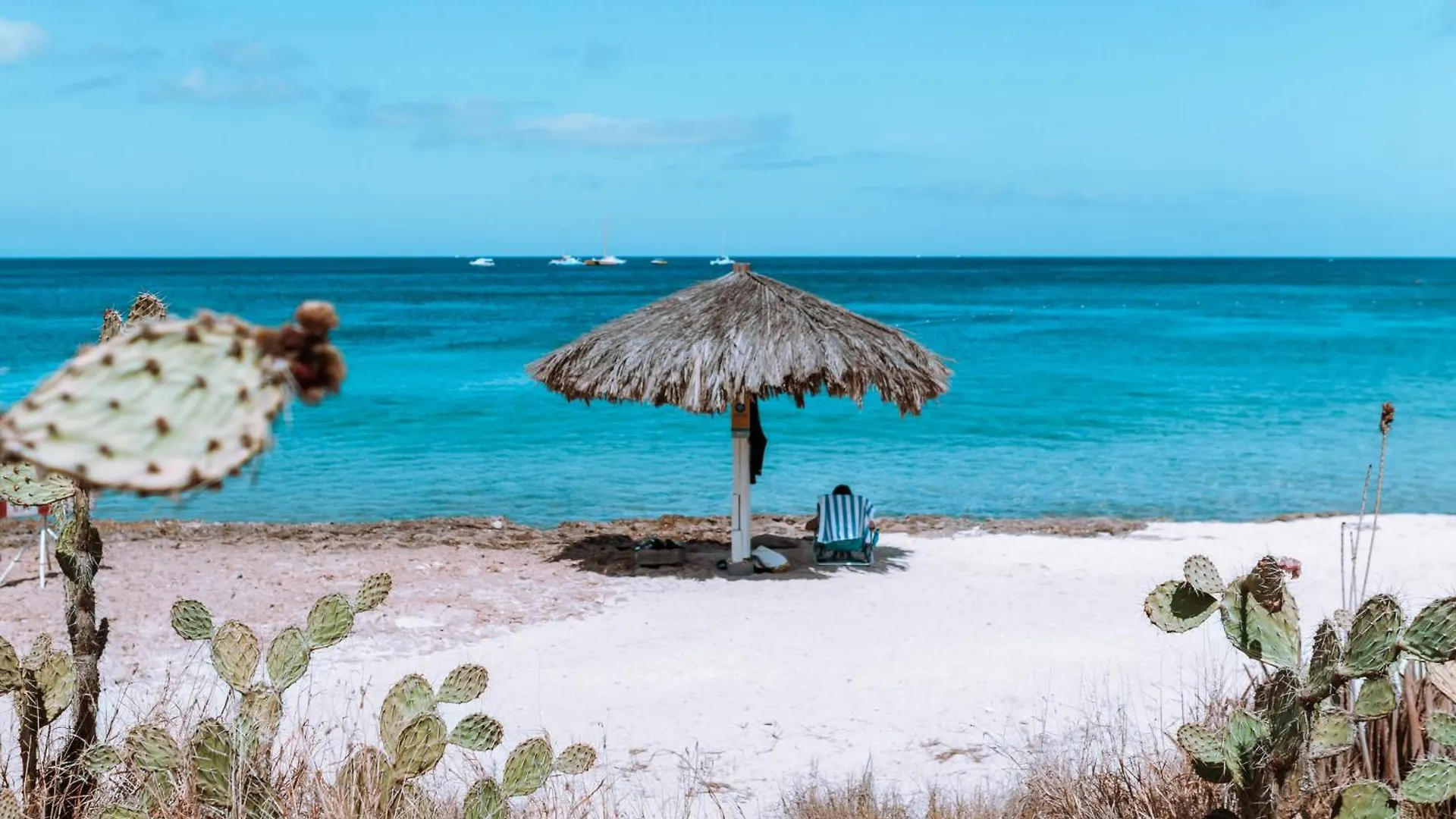 Appartamento Aloe Getaway Santa Cruz